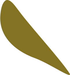 Feuille du logo de Calyce